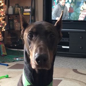 Meet your Posher, Traci